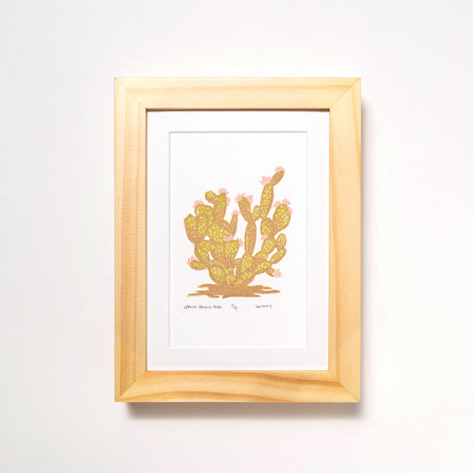 Spring Prickly Pear #7