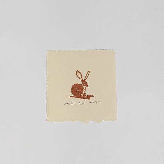 Jackrabbit