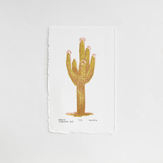 Spring Saguaro A.P. #1