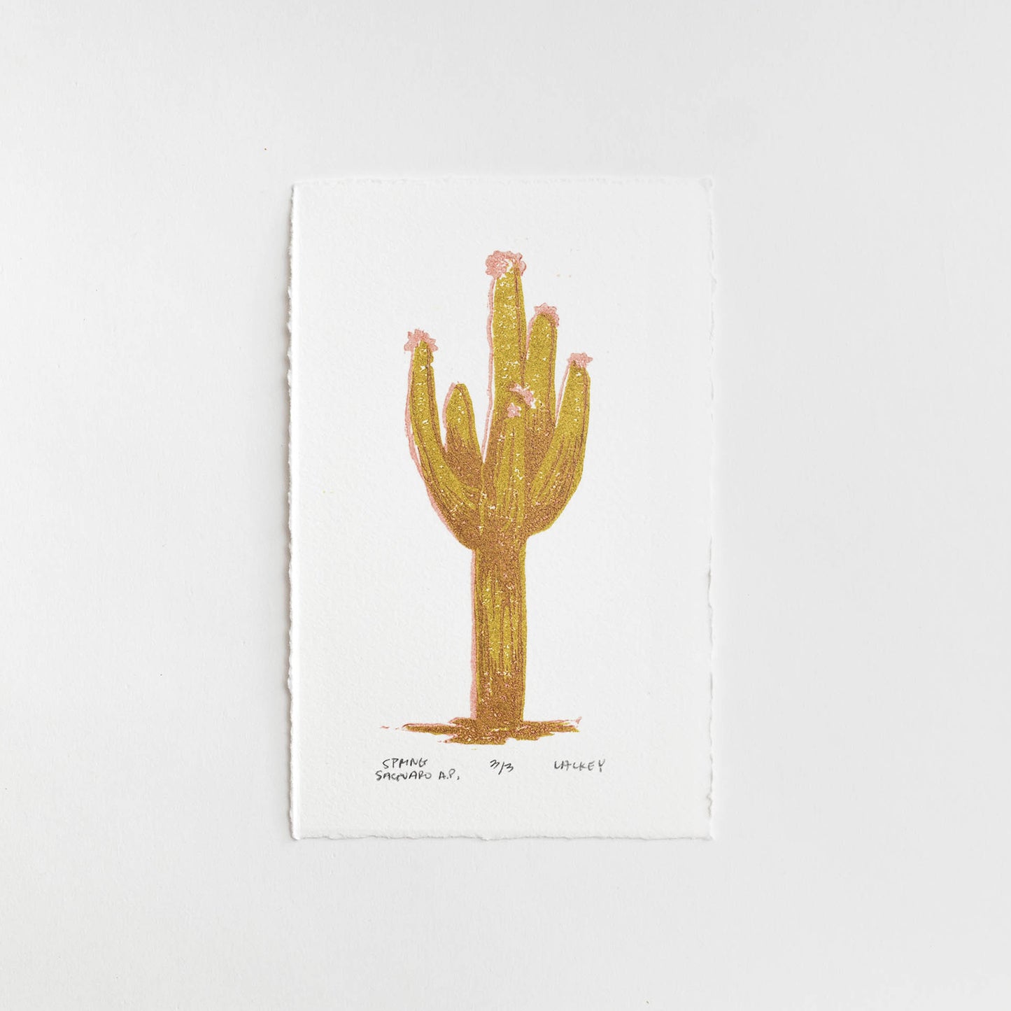 Spring Saguaro A.P. #3