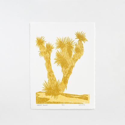 Desert Yucca #2