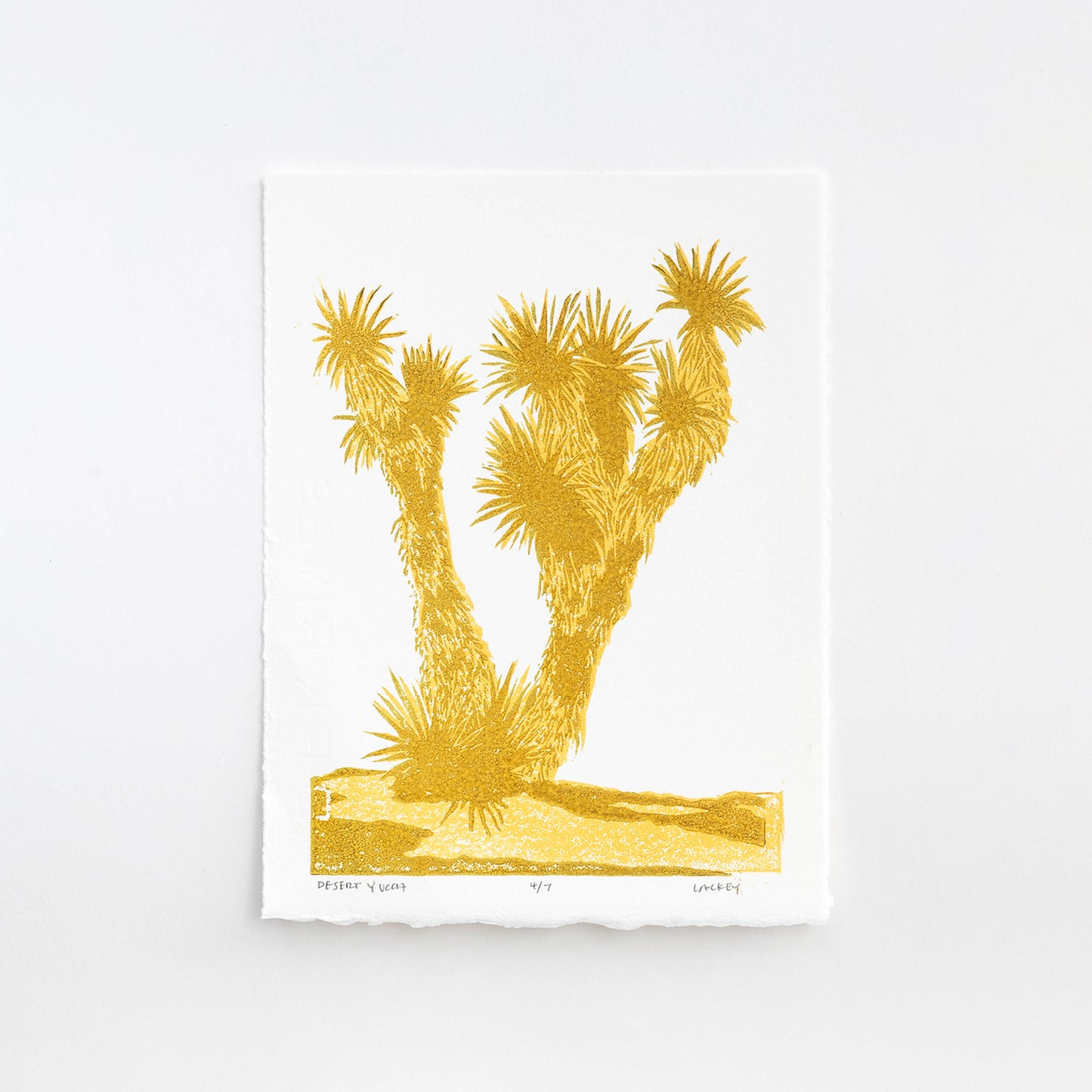 Desert Yucca #4