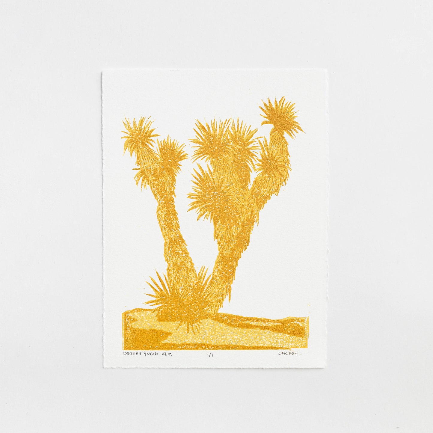 Desert Yucca A.P. #1